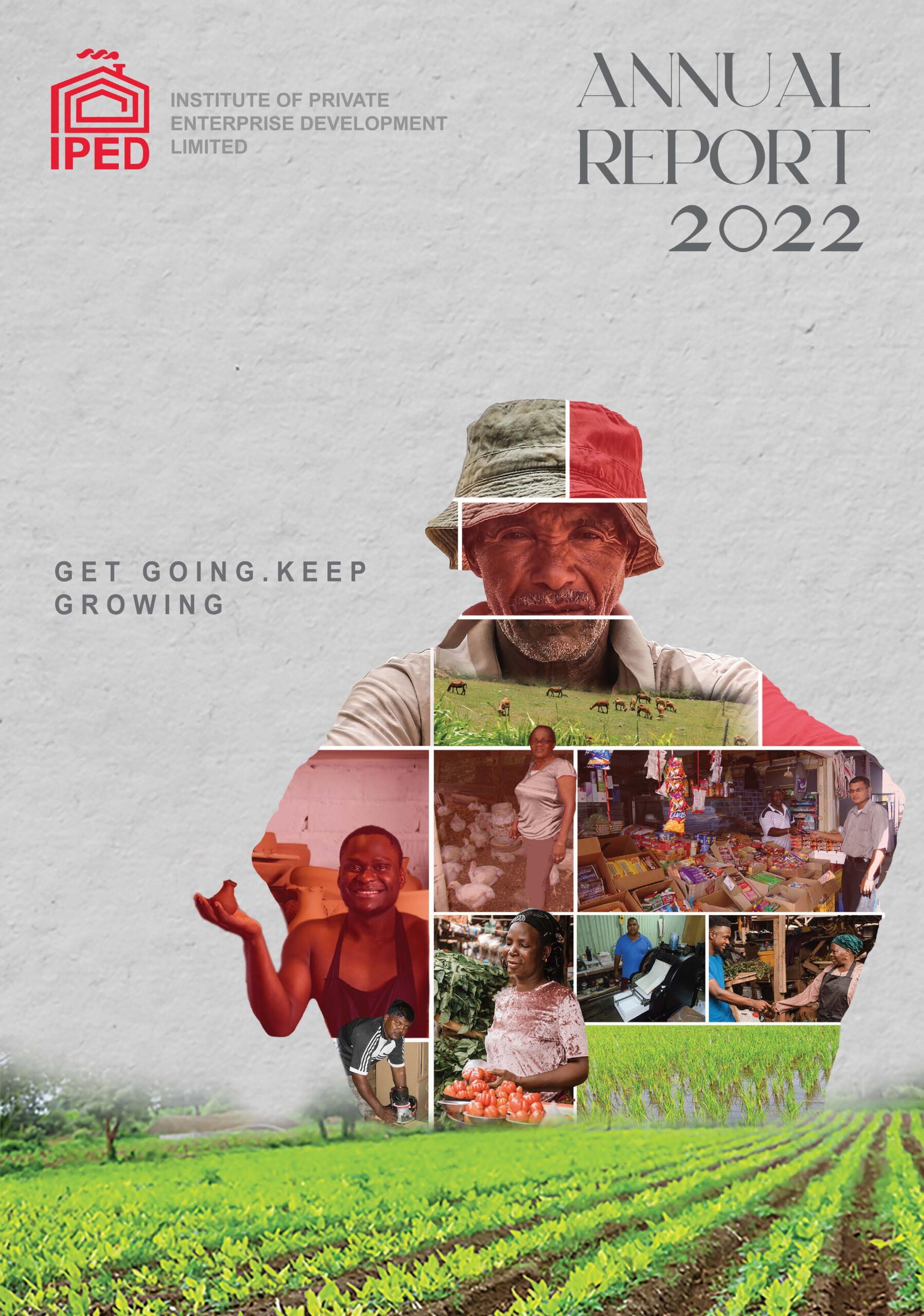 IPED_Annual_Report_2022